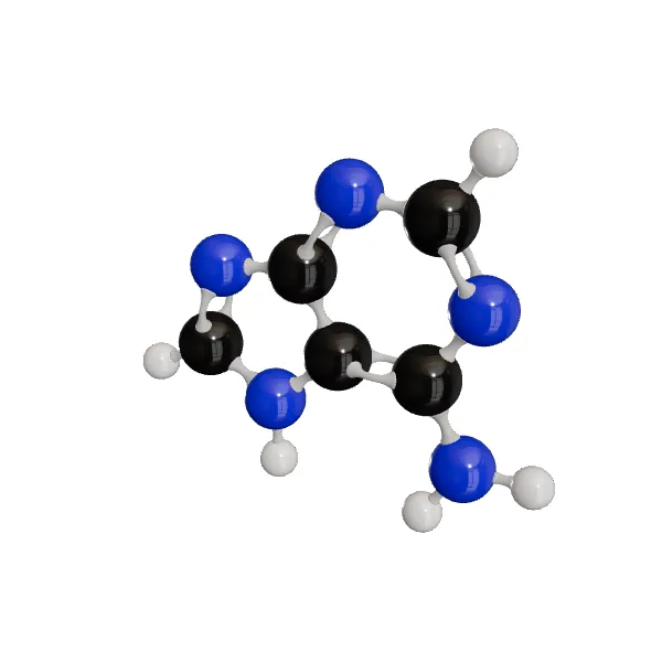 3D model of Adenine