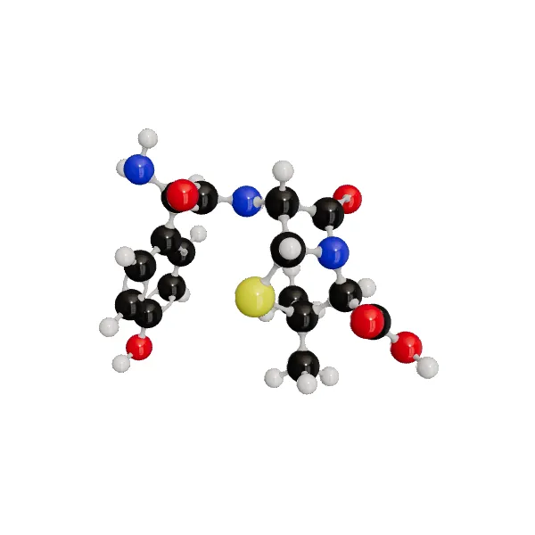 3D model of Amoxicillin