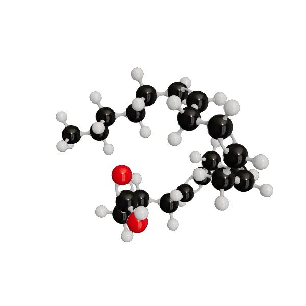 3D model of Arachidonic Acid