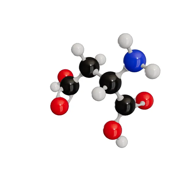 3D model of L-Aspartic Acid