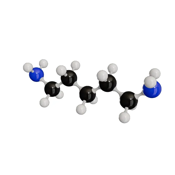 3D model of Cadaverine
