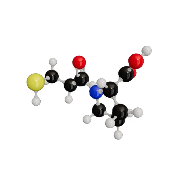 3D model of Captopril