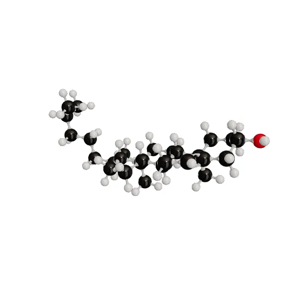 3D model of Cholesterol