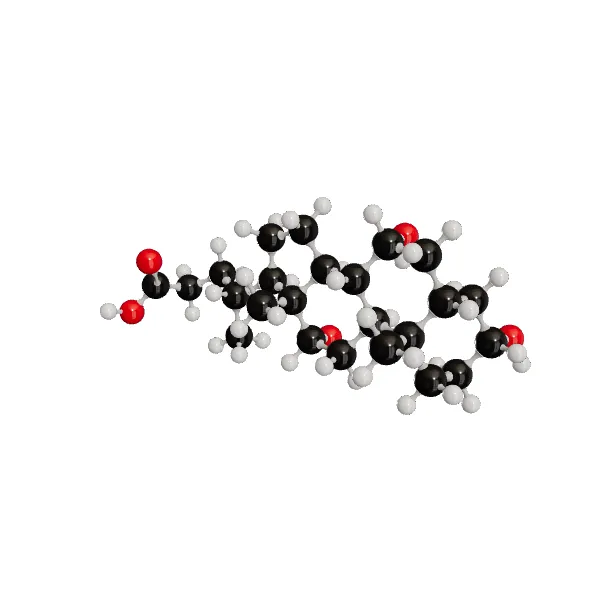 3D model of Cholic Acid