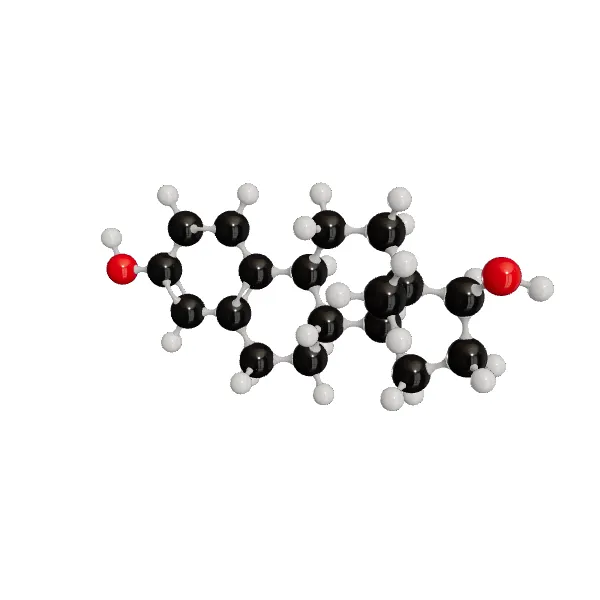 3D model of Estradiol
