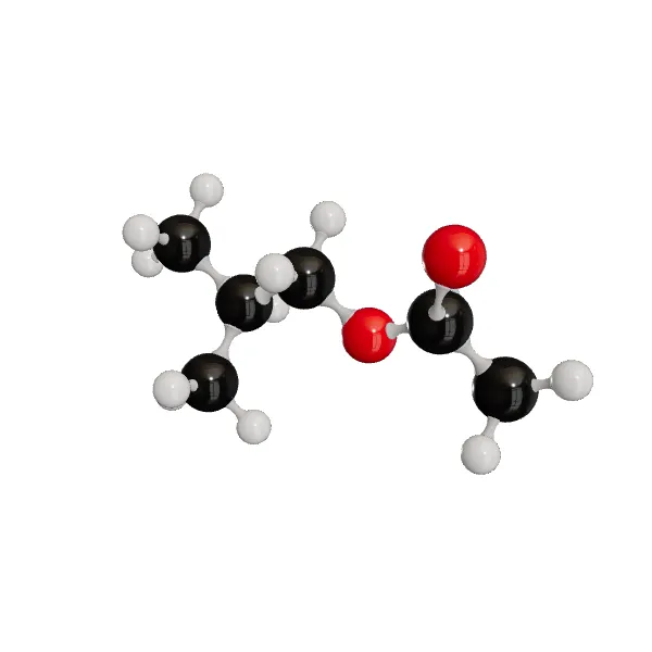 3D model of Isobutyl Acetate