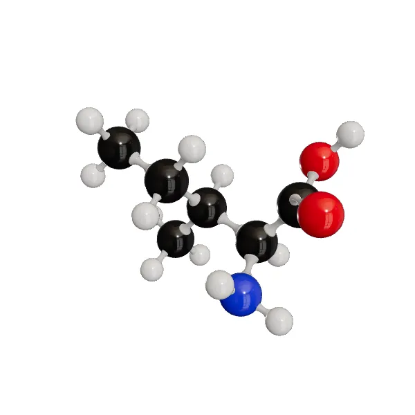 3D model of L-Isoleucine