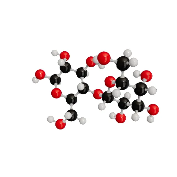 3D model of (+)-Lactose