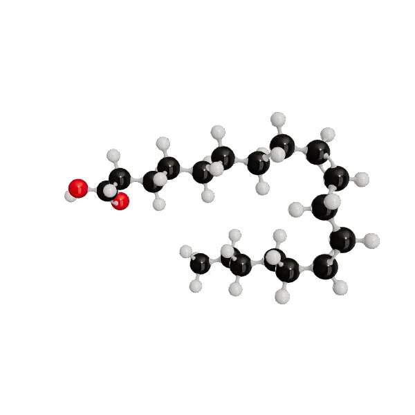 3D model of Linoleic Acid
