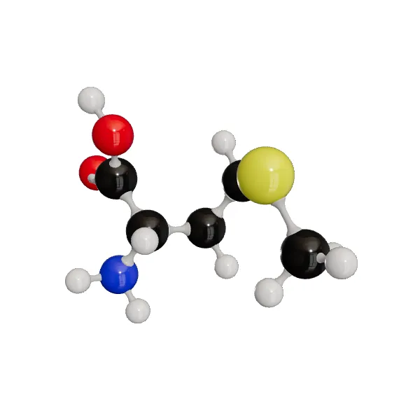 3D model of L-Methionine