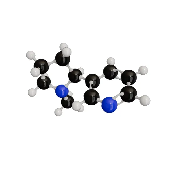3D model of Nicotine