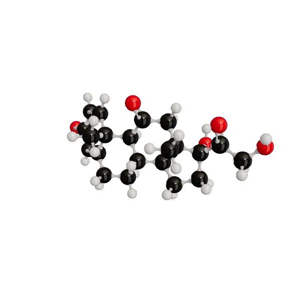 3D model of Prednisone