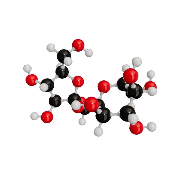 3D model of Sucrose