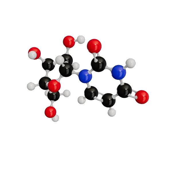 3D model of Uridine
