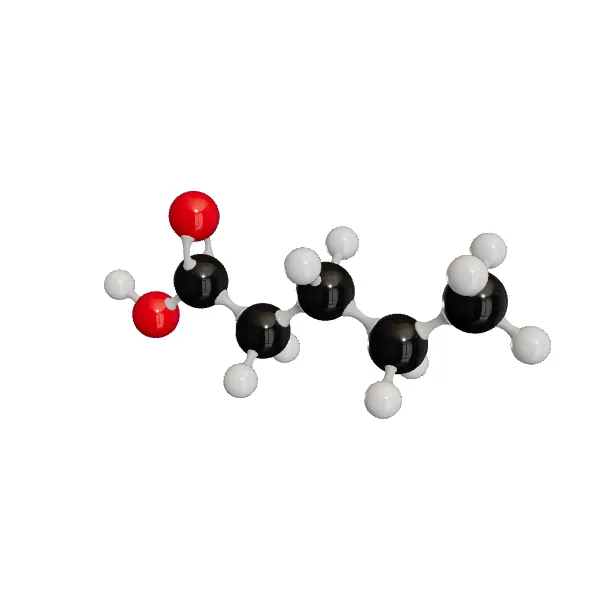 3D model of Pentanoic Acid